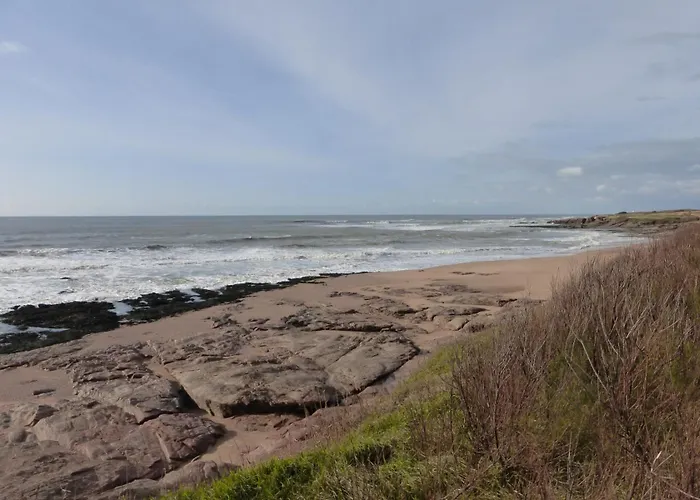 Br000-092 3 Pièces 6 Couchages Bretignolles Sur Villa *